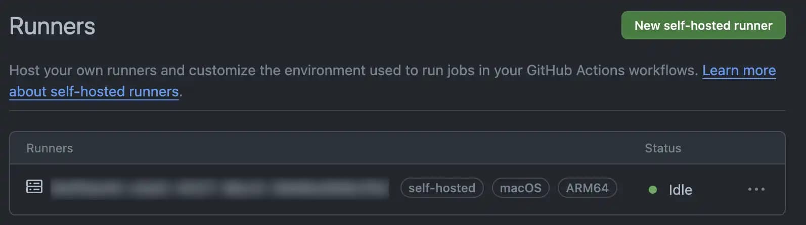 GitHub Actions runner